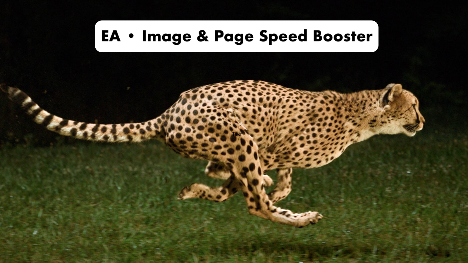 EA Image Speed Booster & Page Speed Booster