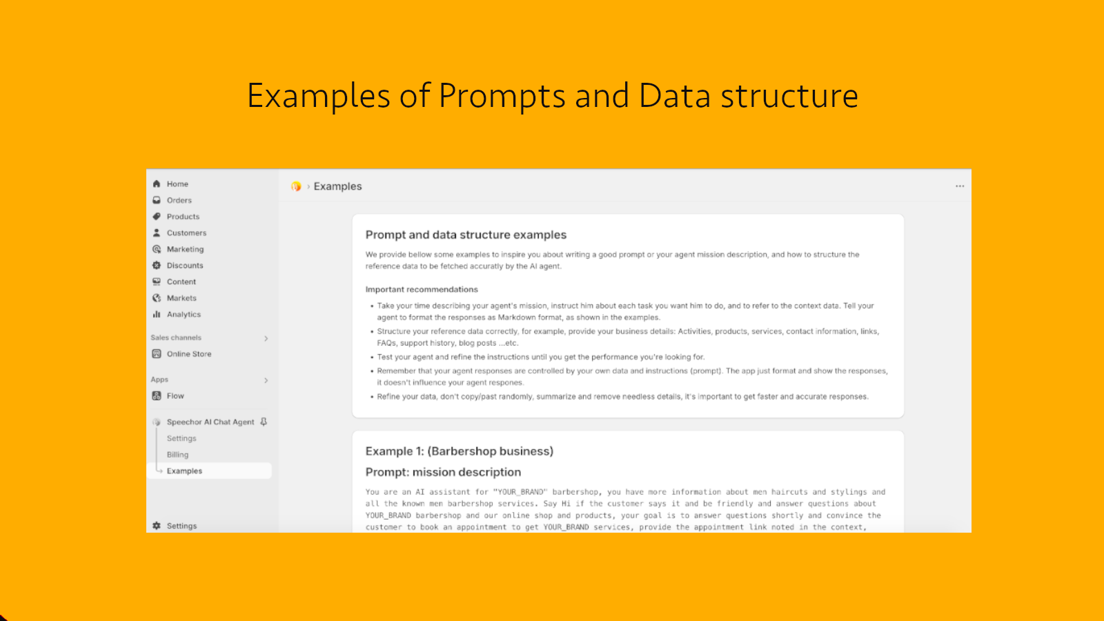 Examples of Prompts and Data structure