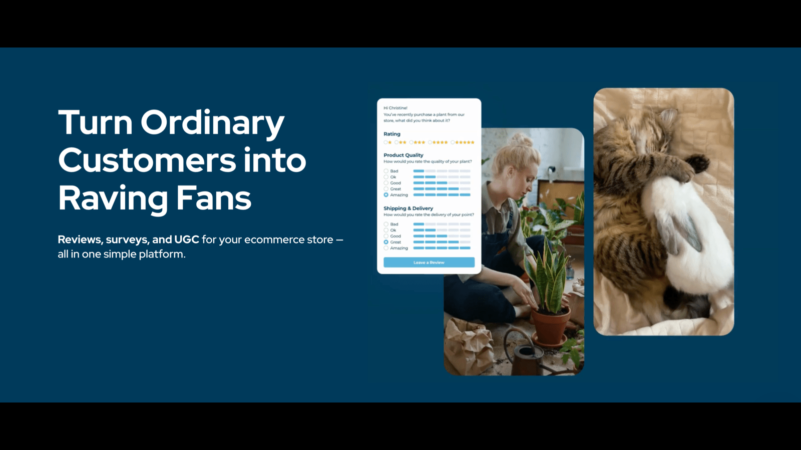 product reviews and UGC