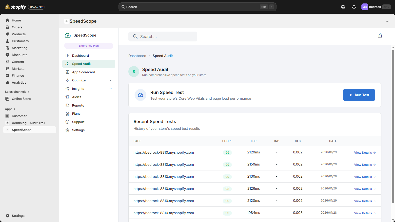 Detailed speed audit results with Core Web Vitals scores.