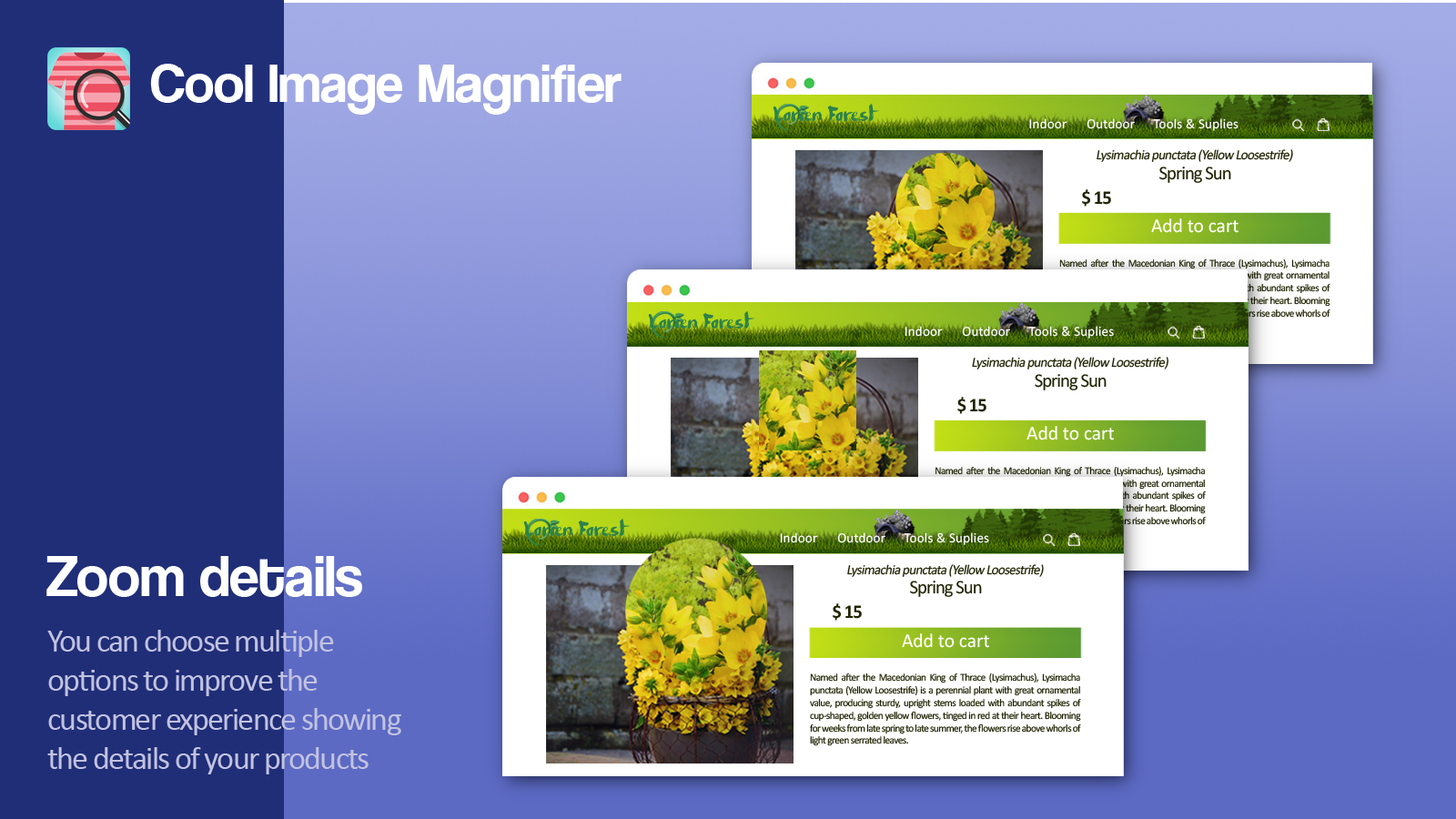 Multiple options to improve the customer experience