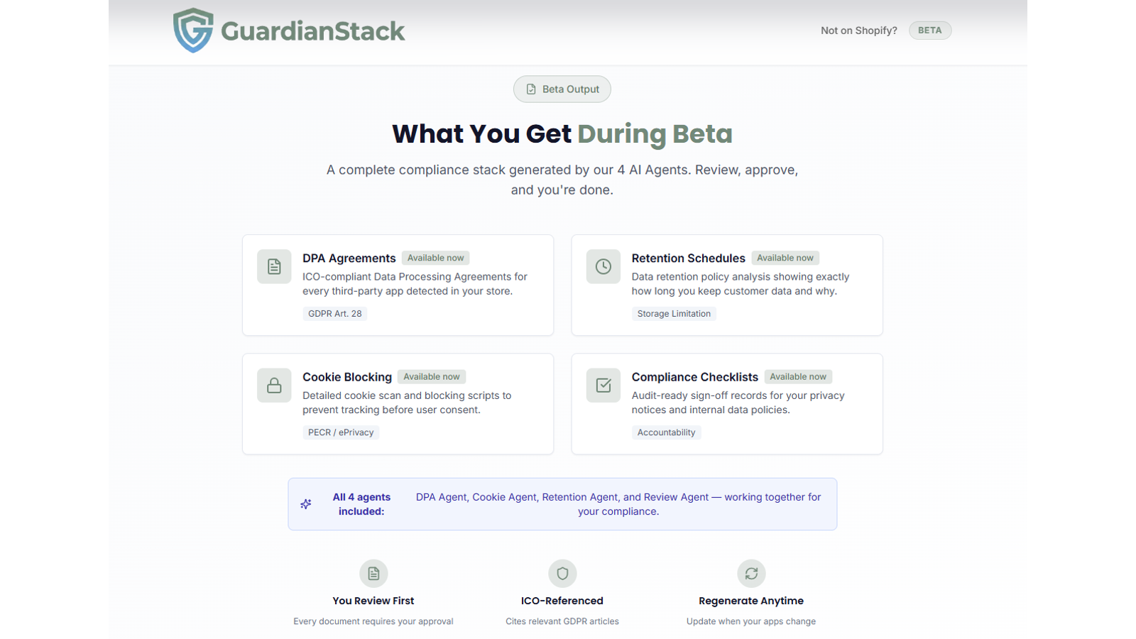 What you get During BETA