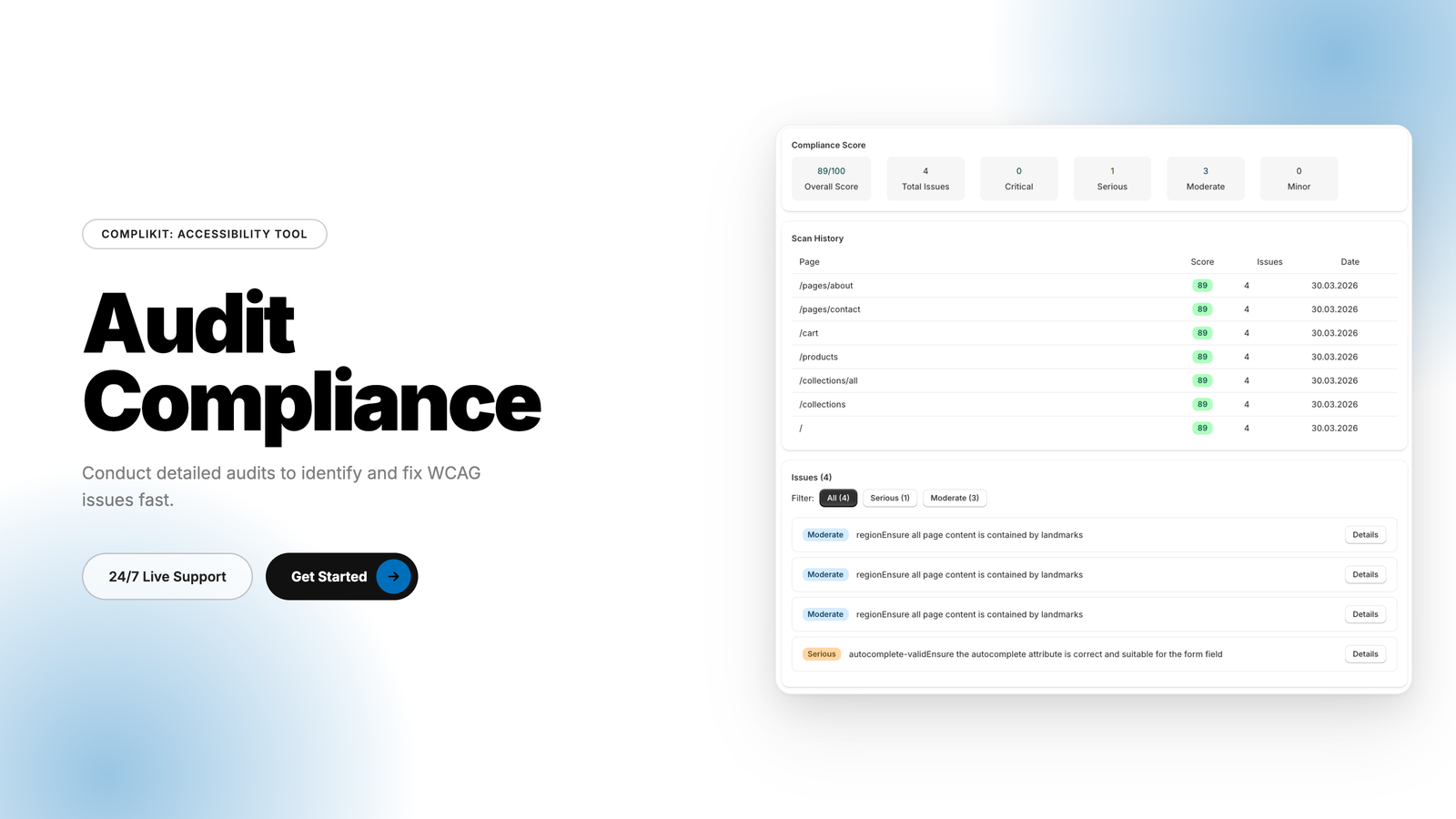 WCAG audit dashboard Shopify accessibility score tool