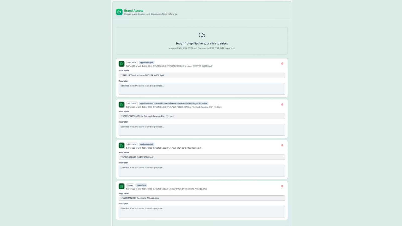 brand brain add brand assets.