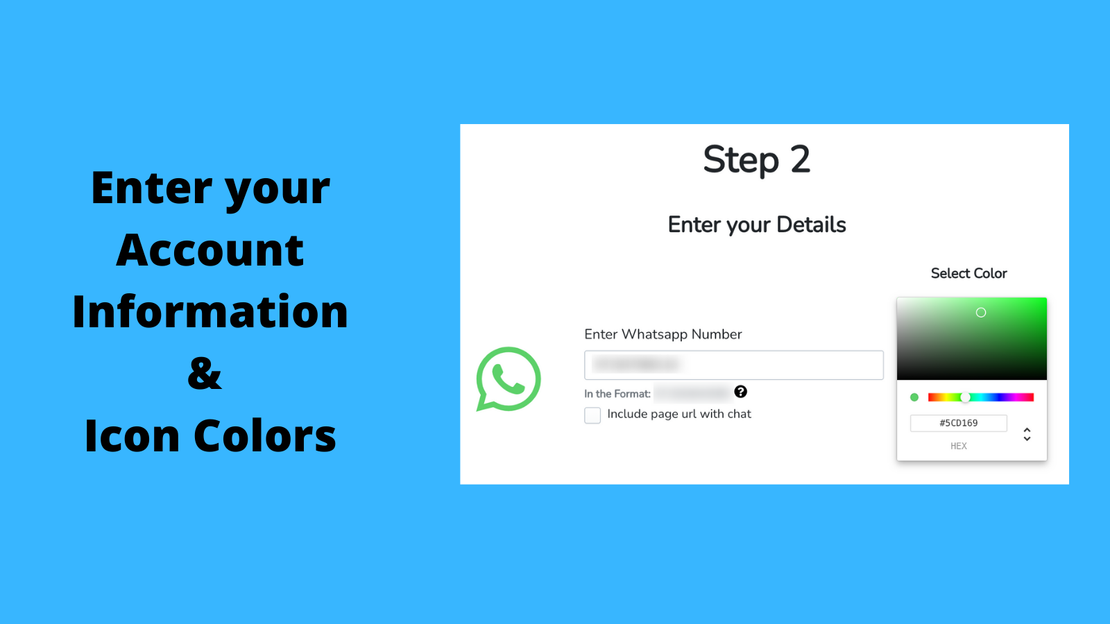Enter your Account Information and Icon Colors