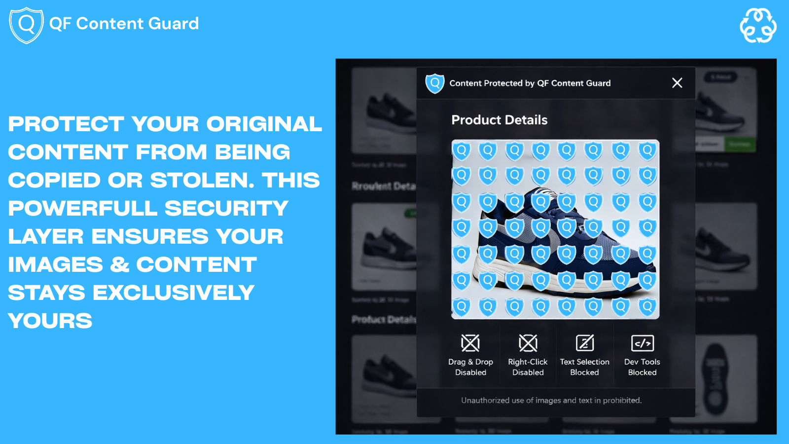 Product image protection with anti-theft overlay.