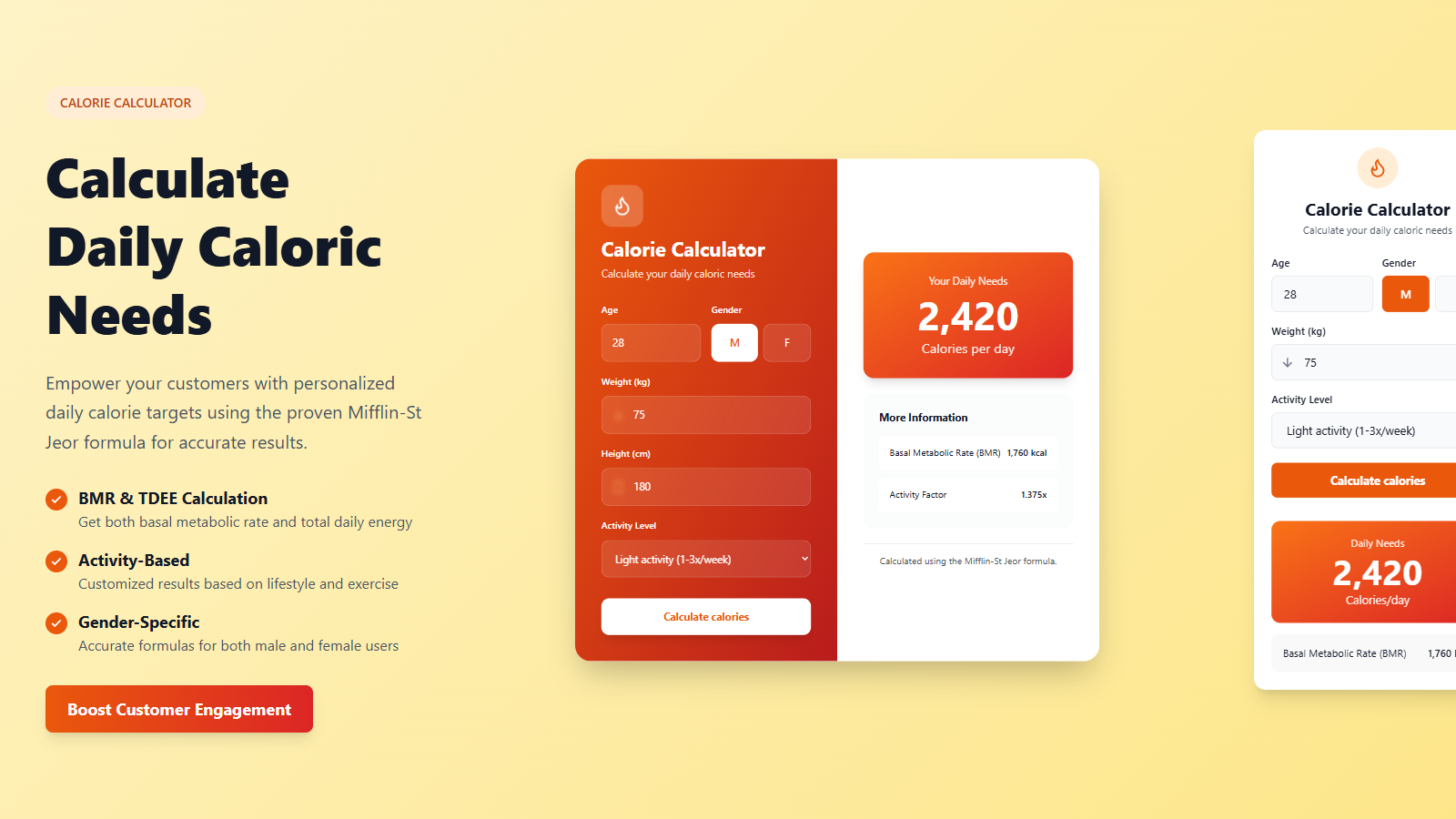 Calorie calculator showing daily energy needs and BMR