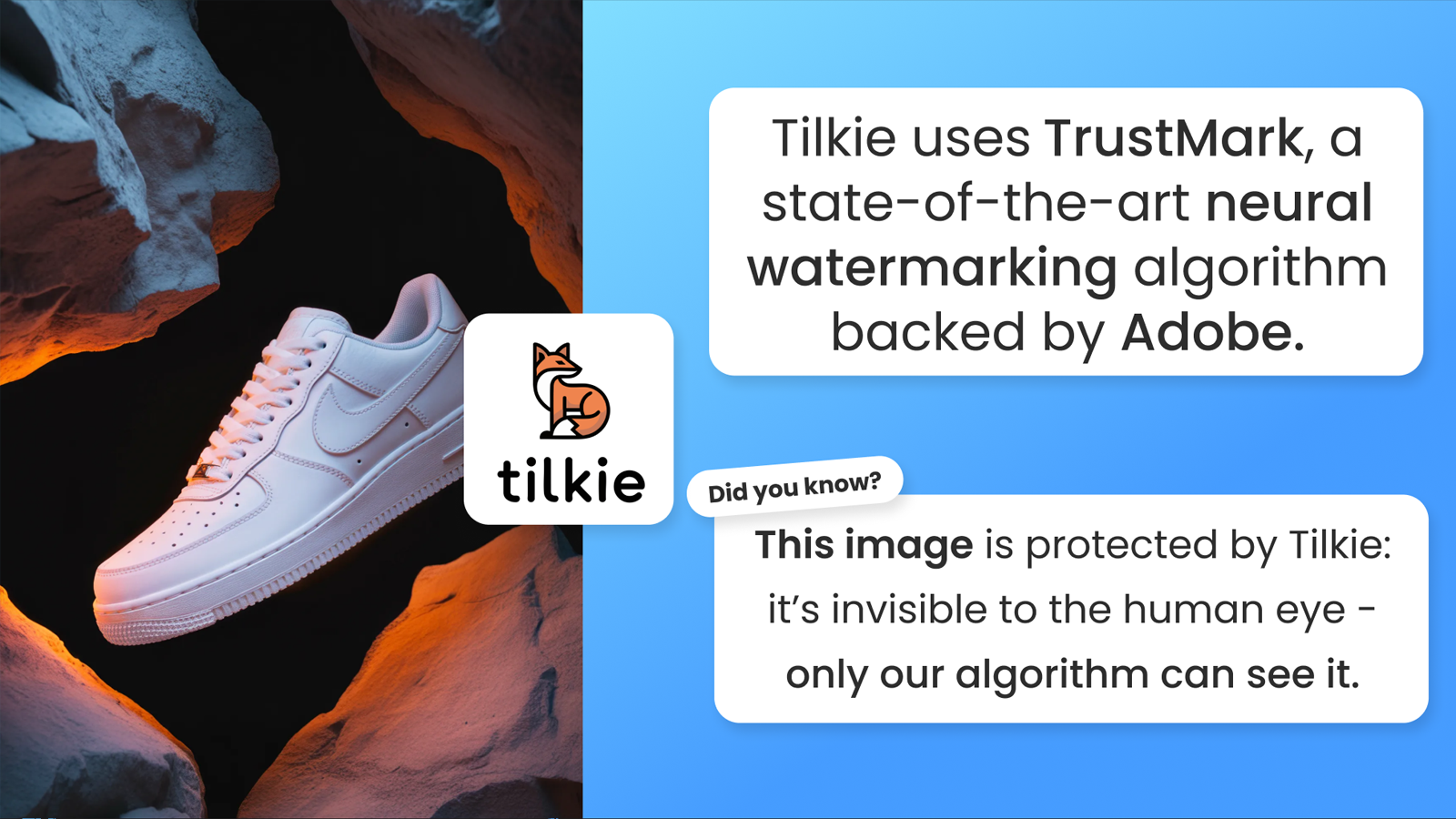 Tilkie prevents image theft by invisibly watermarking your photo