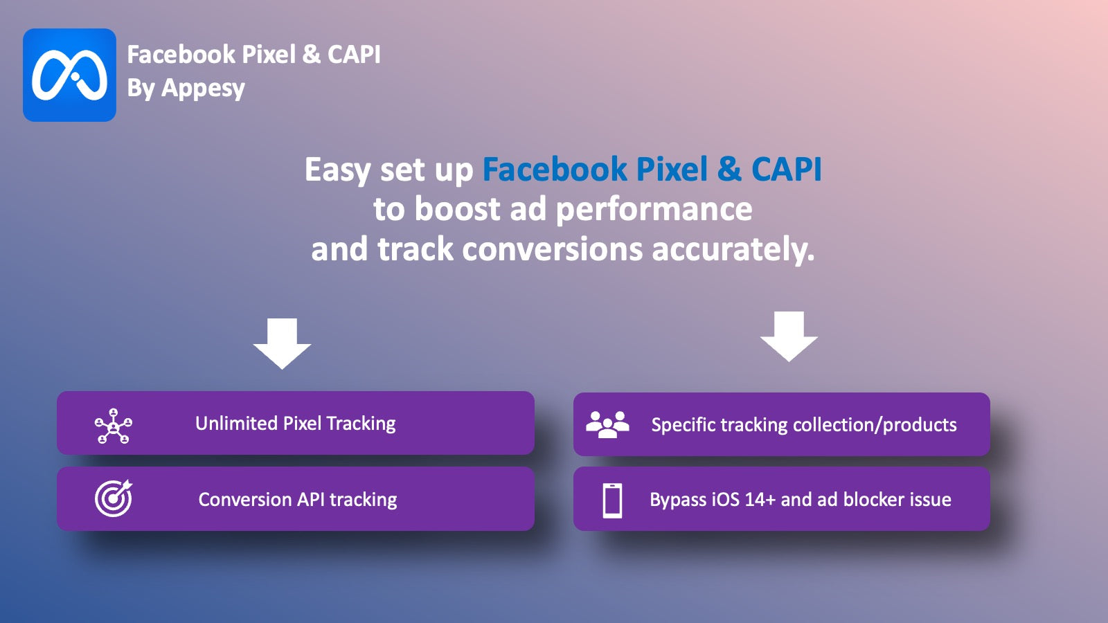 Facebook Pixel & Conversion API