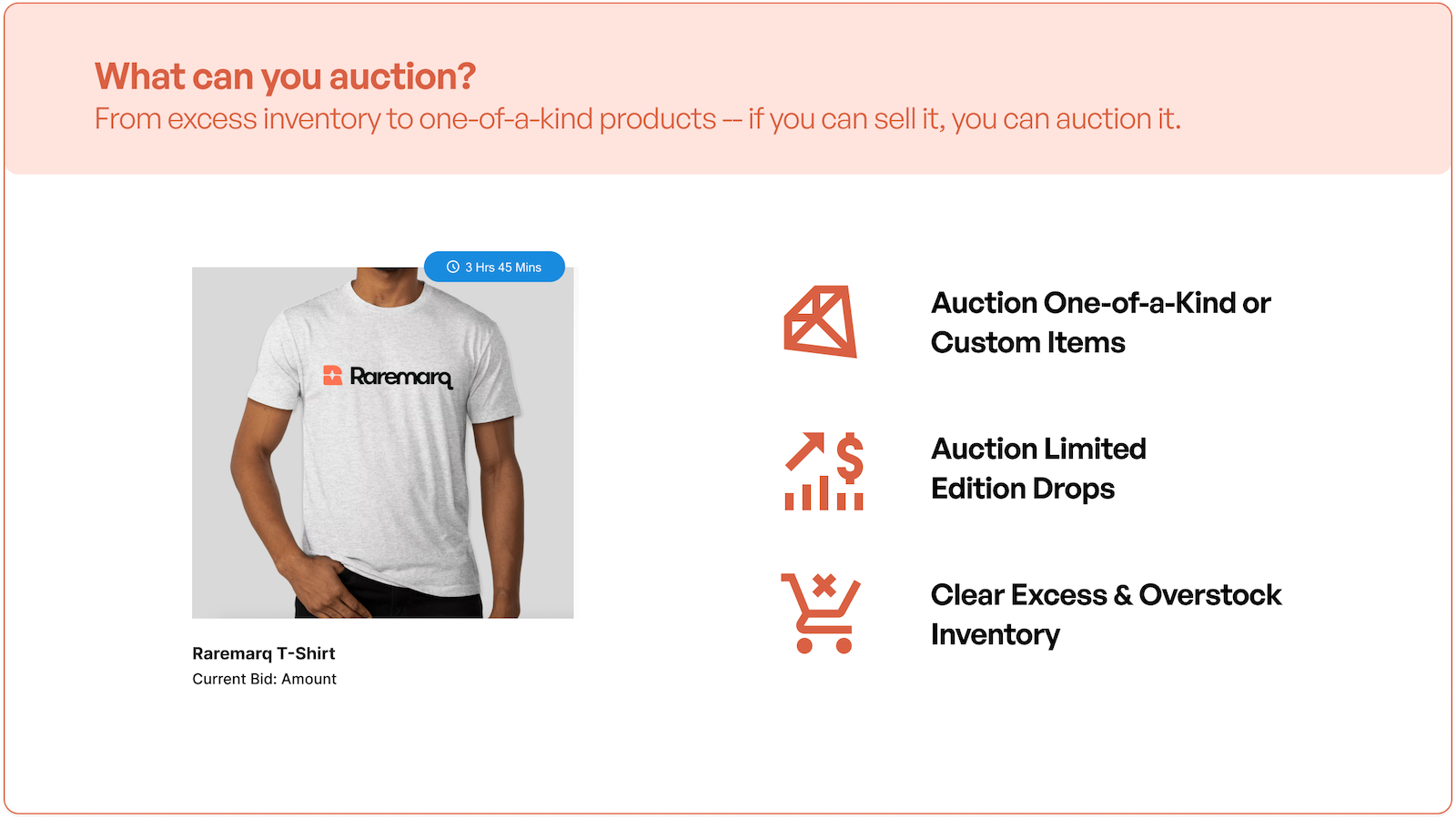 What Can You Auction With Auction Now by Raremarq