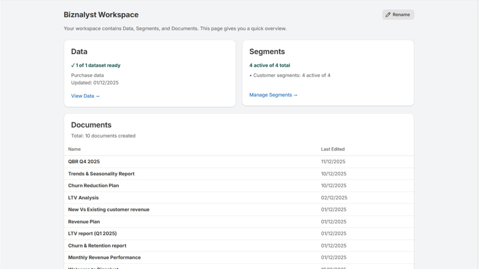 Biznalyst home showing workspace Data, Segments and Documents