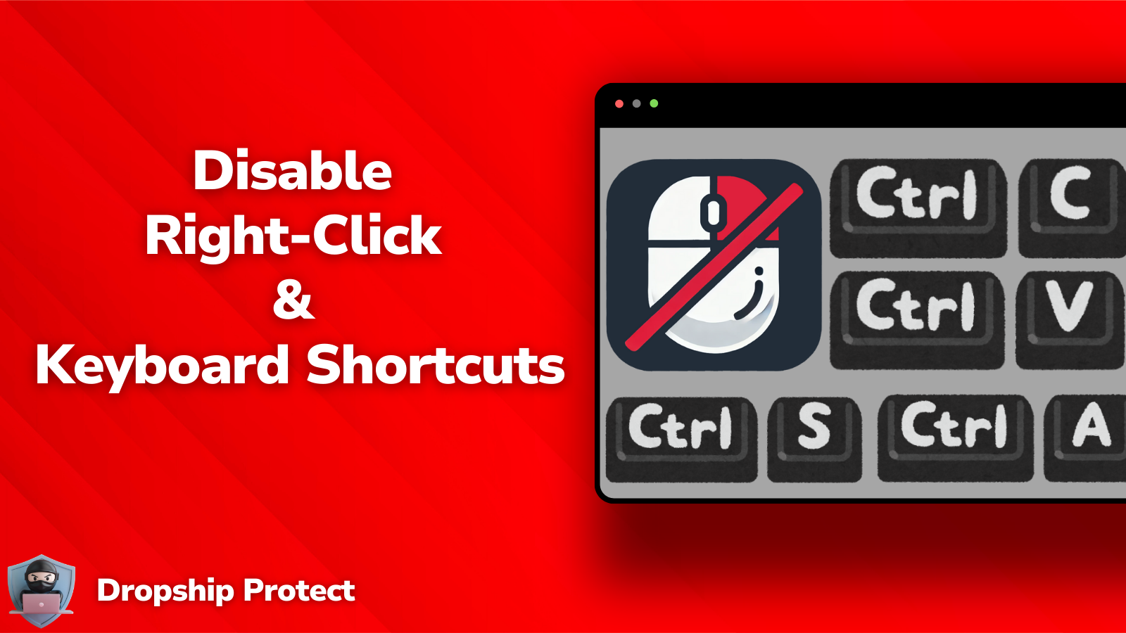 Dropship Protect - Disable Right Click & Keyboard Shortcuts