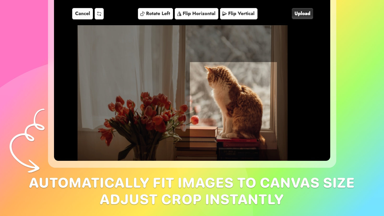 Automatically fit images to canvas size Adjust crop instantly