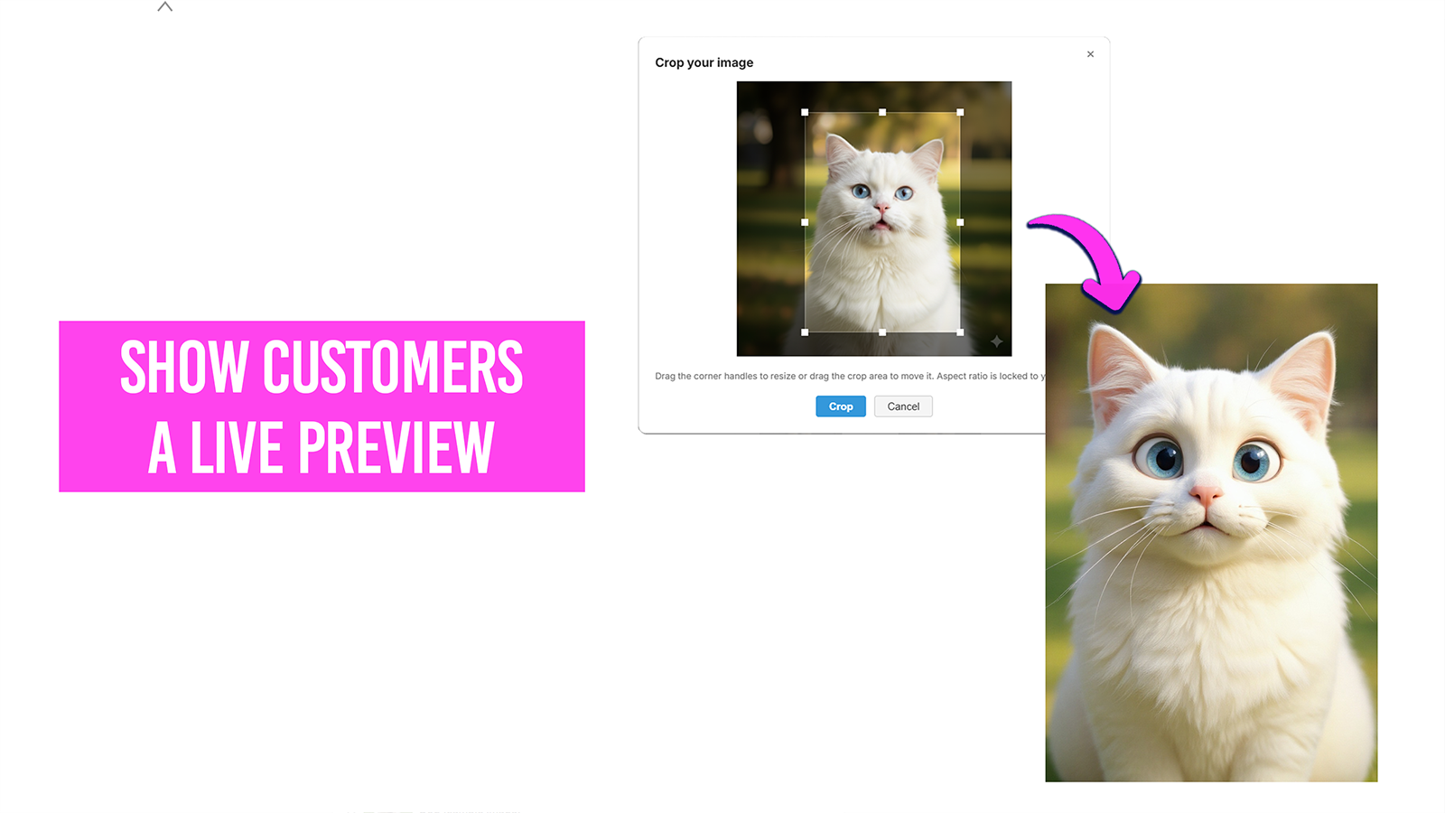 Screenshot of how live preview of Autopictura app looks