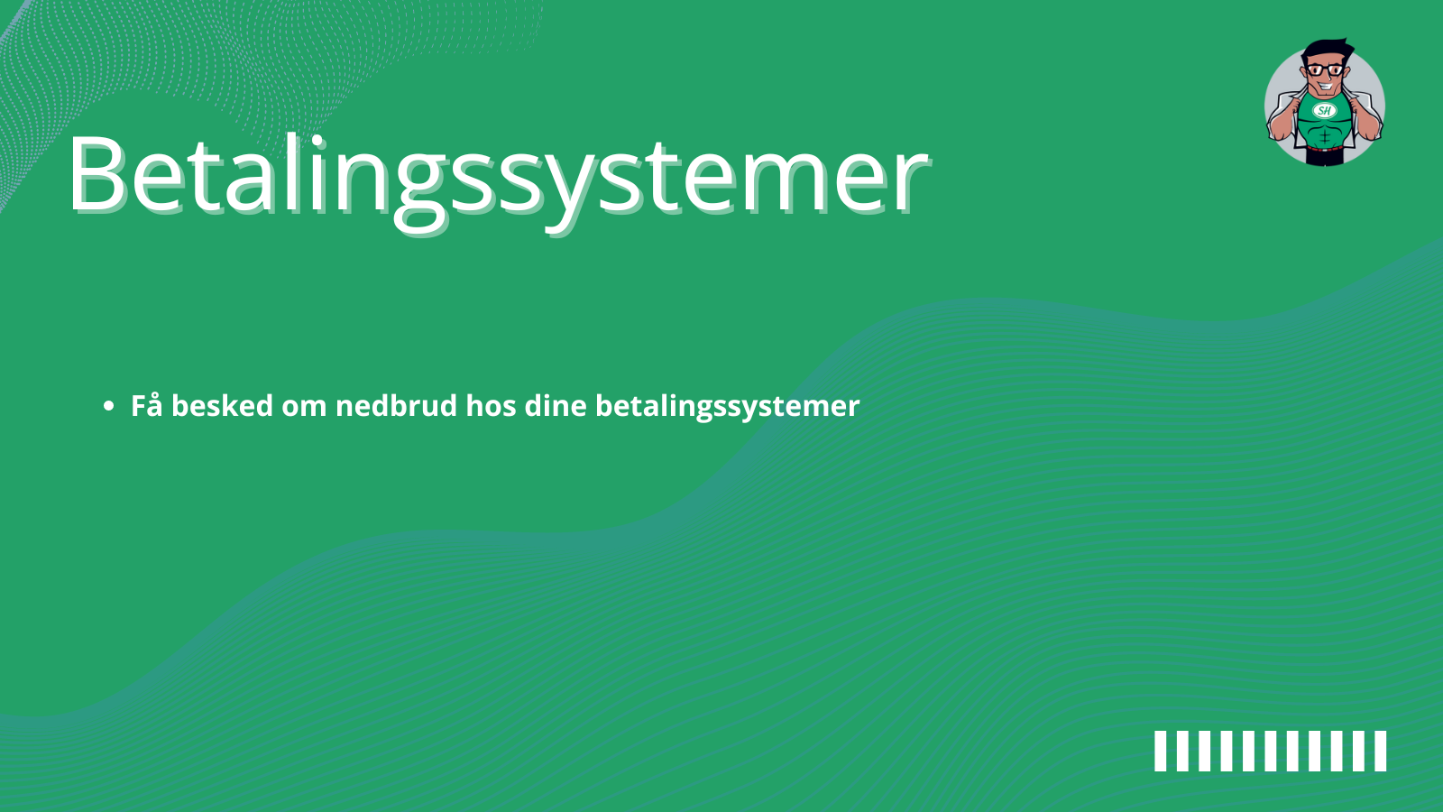 Overvågning af betalingssystemer