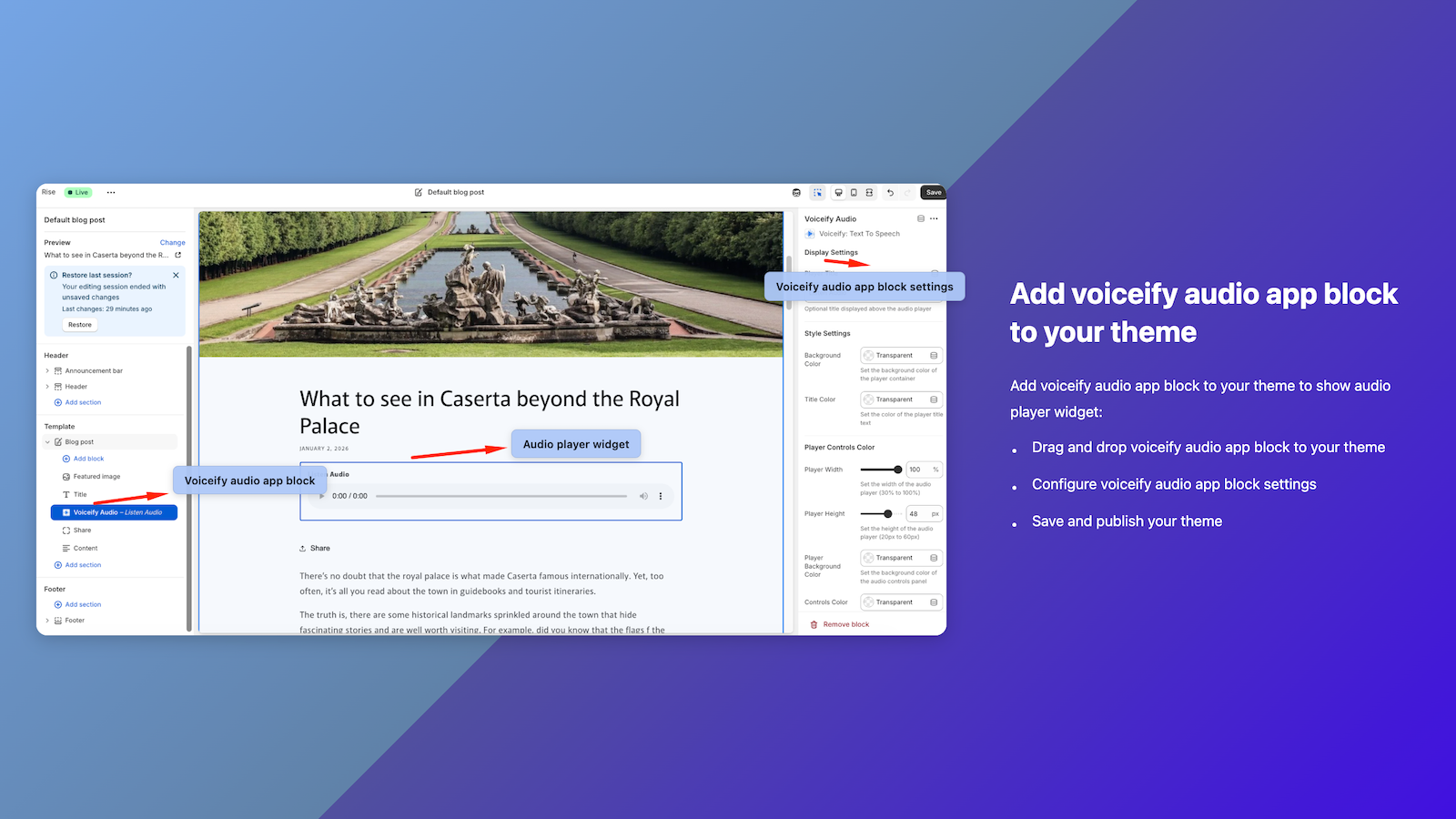 Custom Voiceify app block 