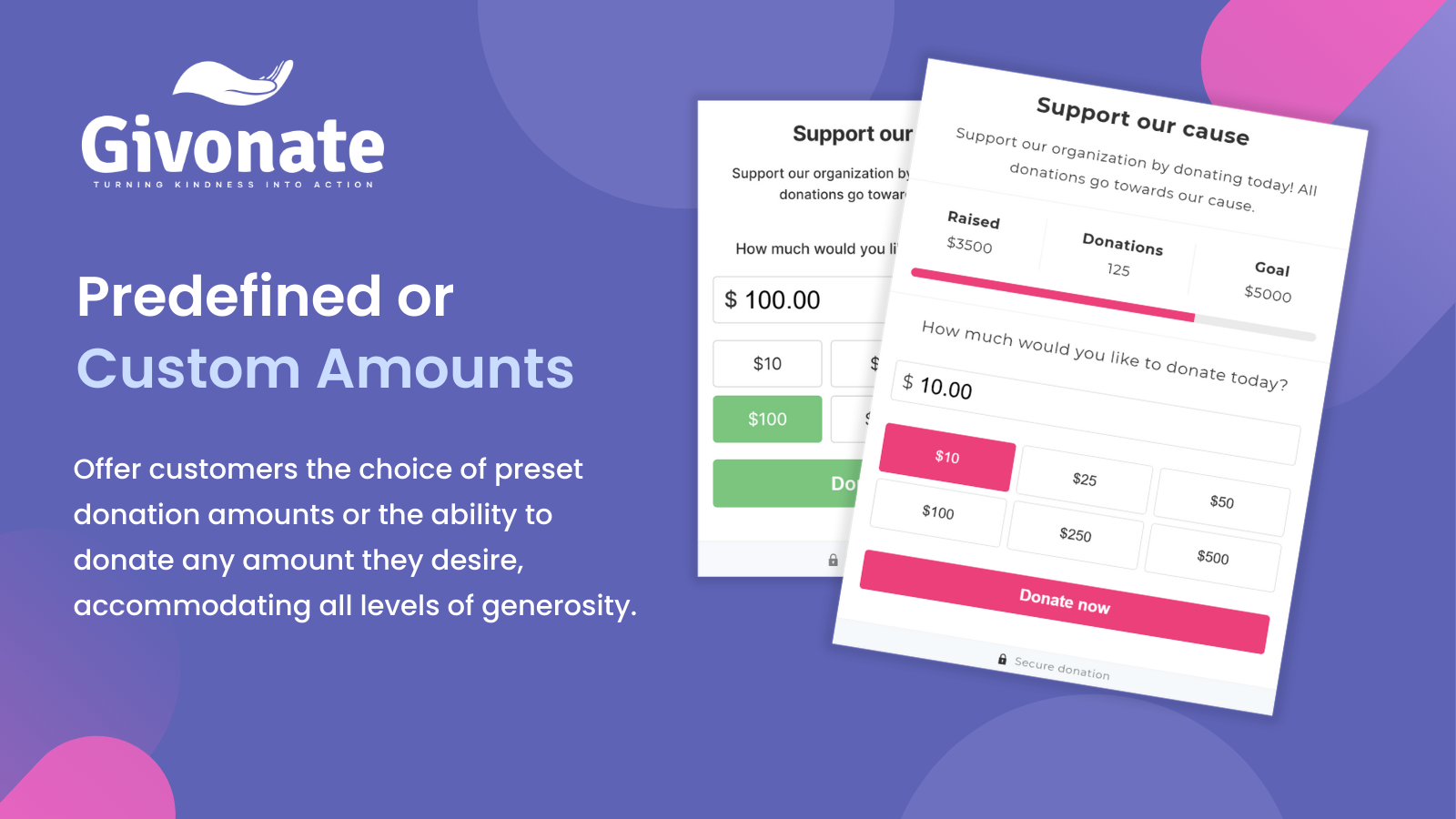 Predefined or Custom Donation Amounts