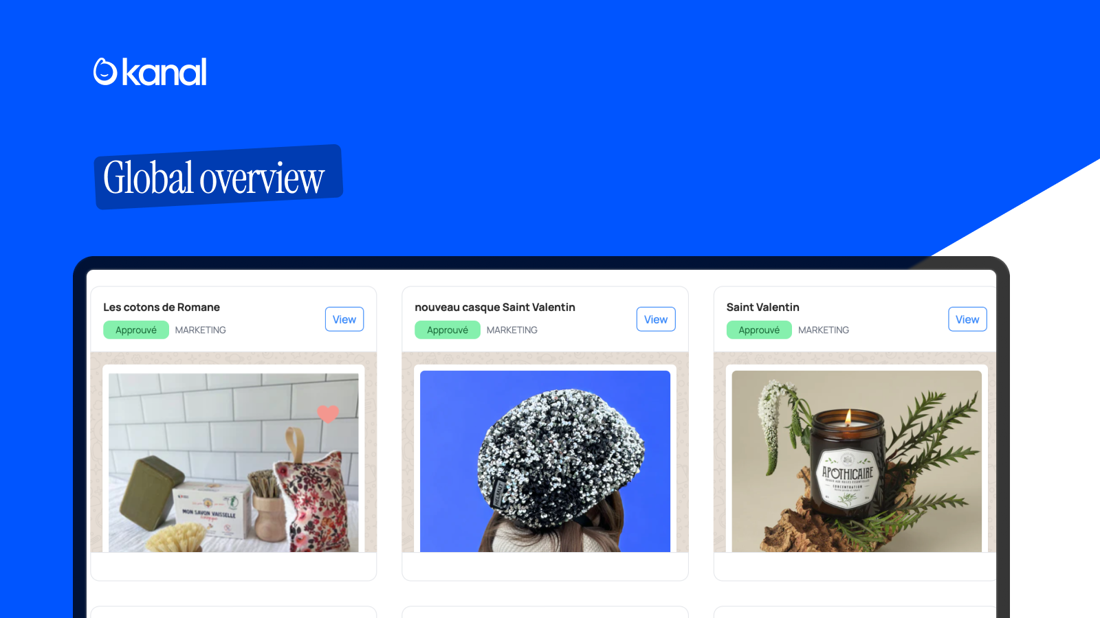 global overview kanal for whatsapp marketing