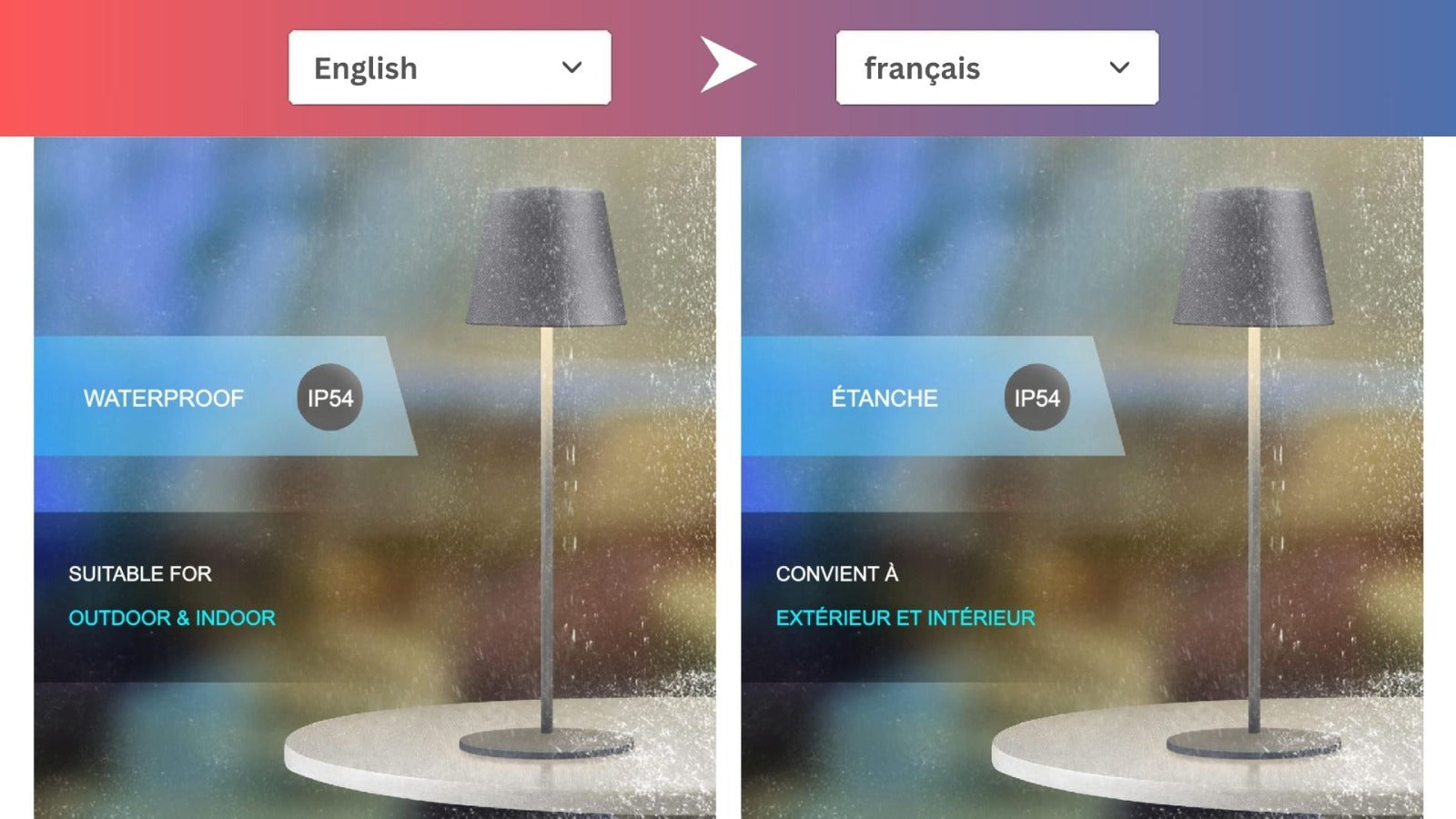 english to french translator