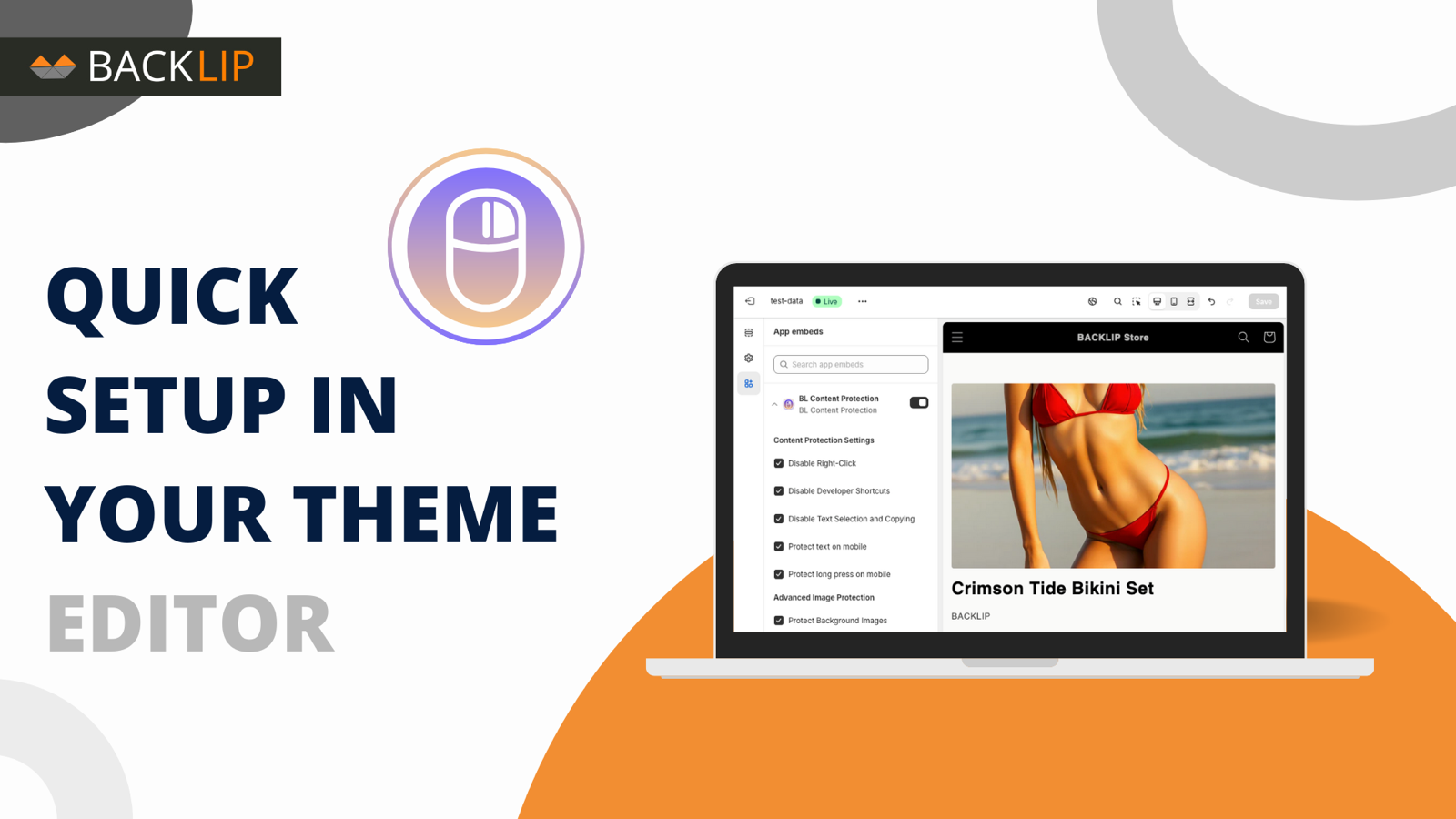 BL Content Protection : Quick Setup In Your Theme Editor
