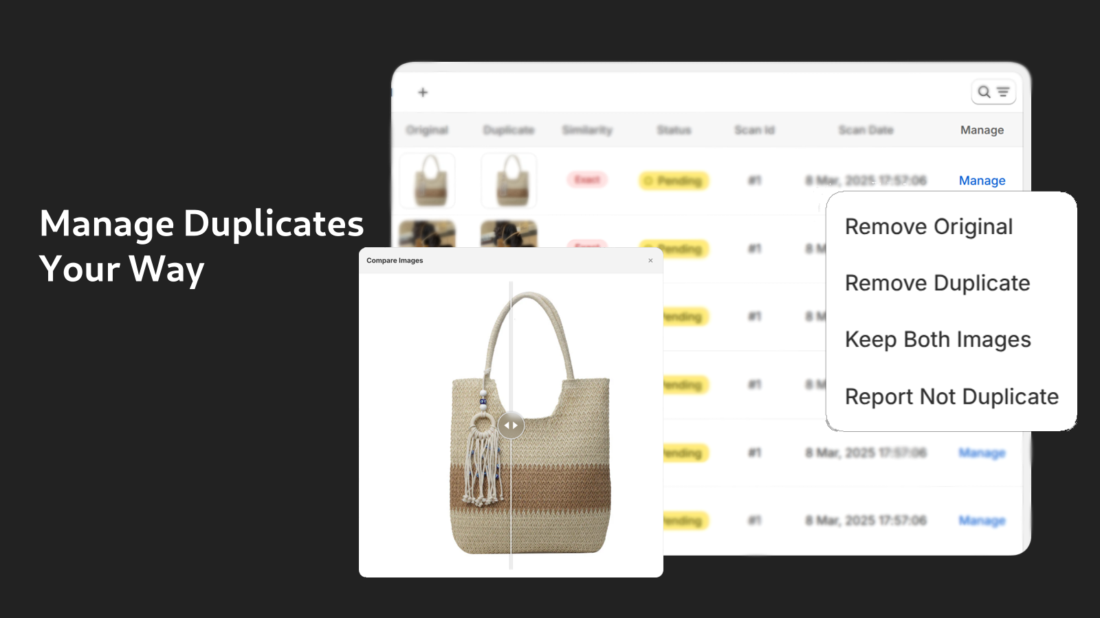 Alt text: Free monthly auto-scan setting.