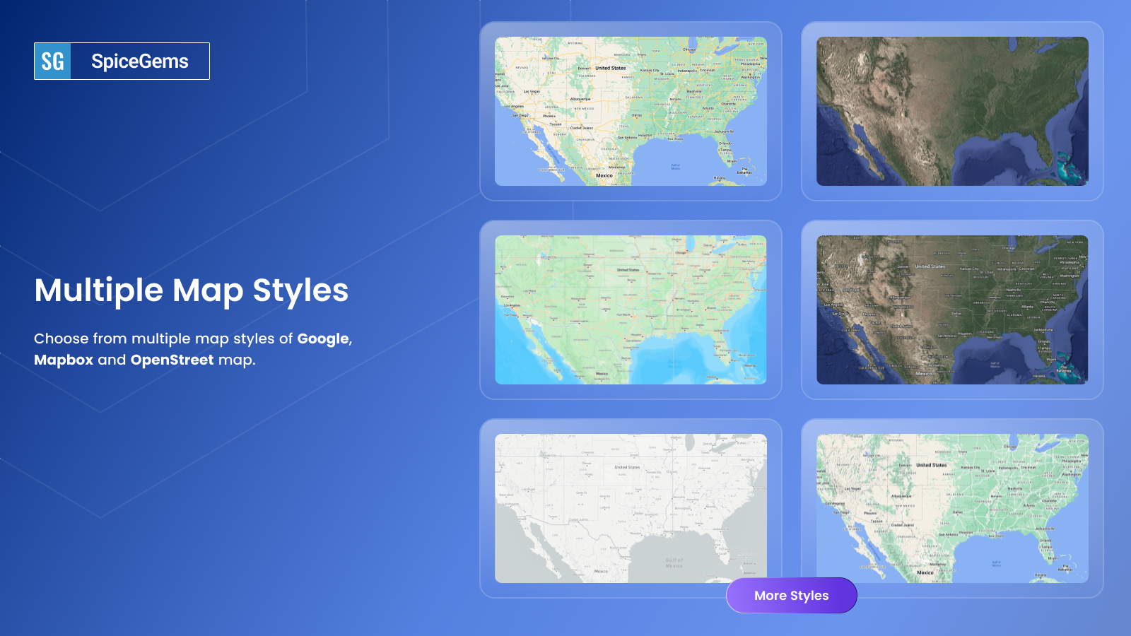 Easy Store Locator Multiple Map Styles