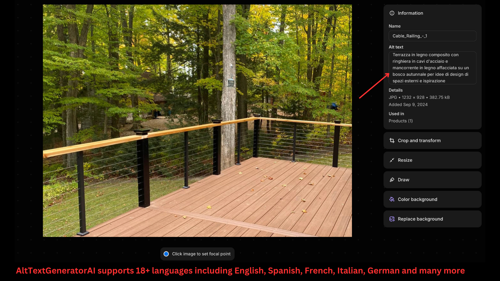 AltTextGeneratorAI supports multiple languages 