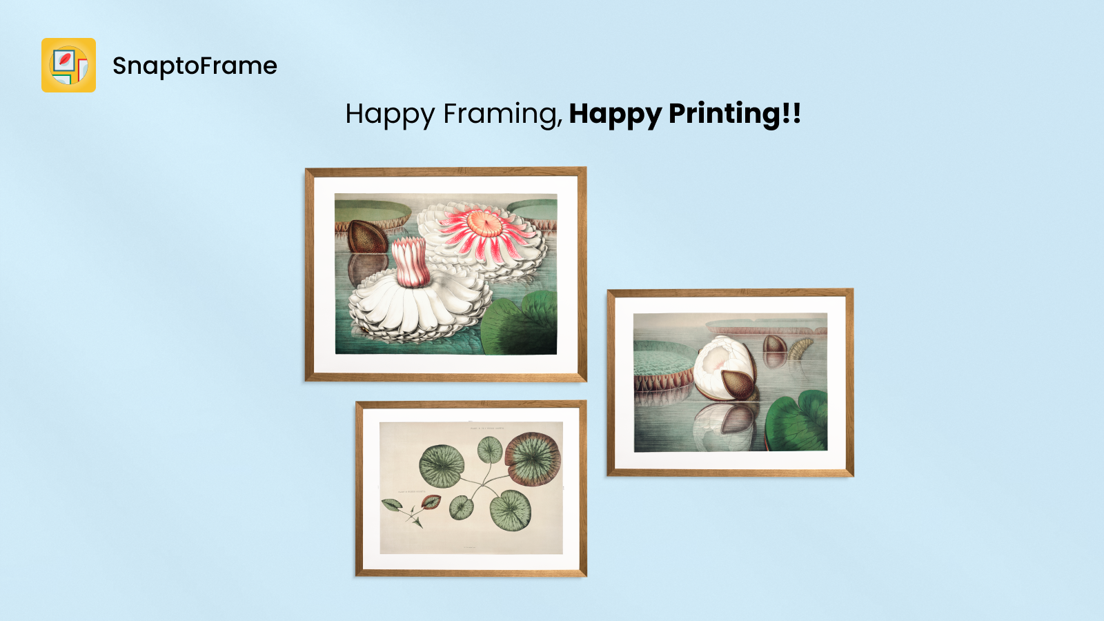 Multiple frame colors