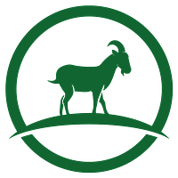 Wuohi Digital logo