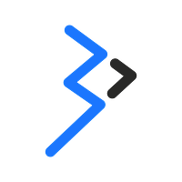 Said Differently logo