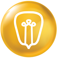Maíz Creativo logo