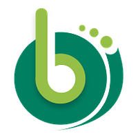 Brisk Developers logo