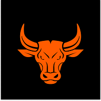 BullTheme - ⭐ Store build or redesign /⭐ Store migration /⭐ Theme customization /⭐ Maintenance & Support logo