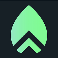 Prosper Digital logo