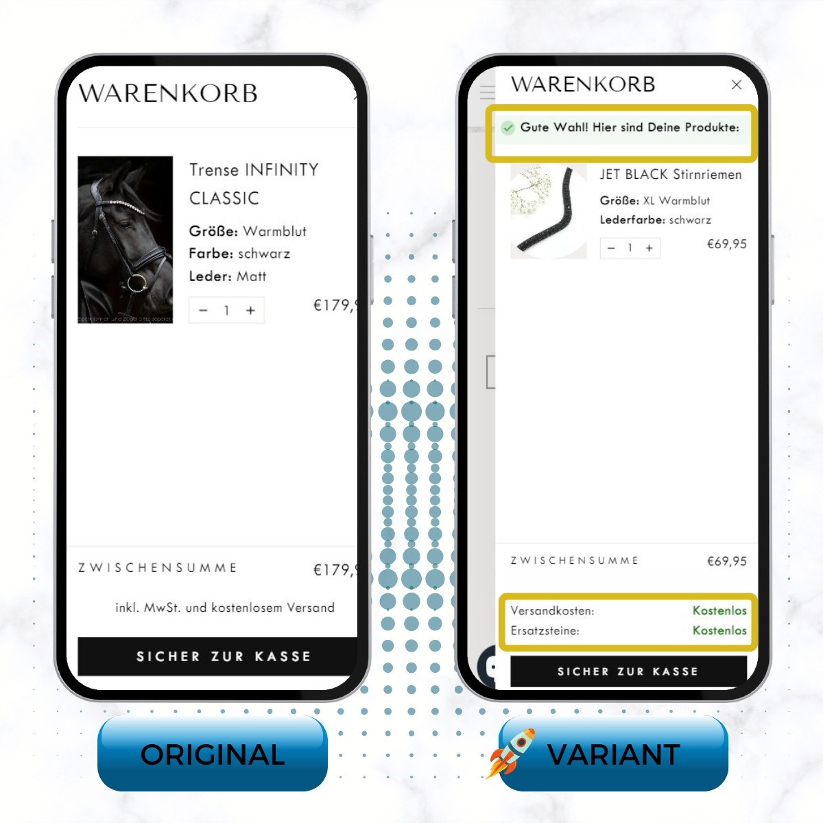Remarkable 200% Conversion Rate Uplift for High-Priced Horse Products