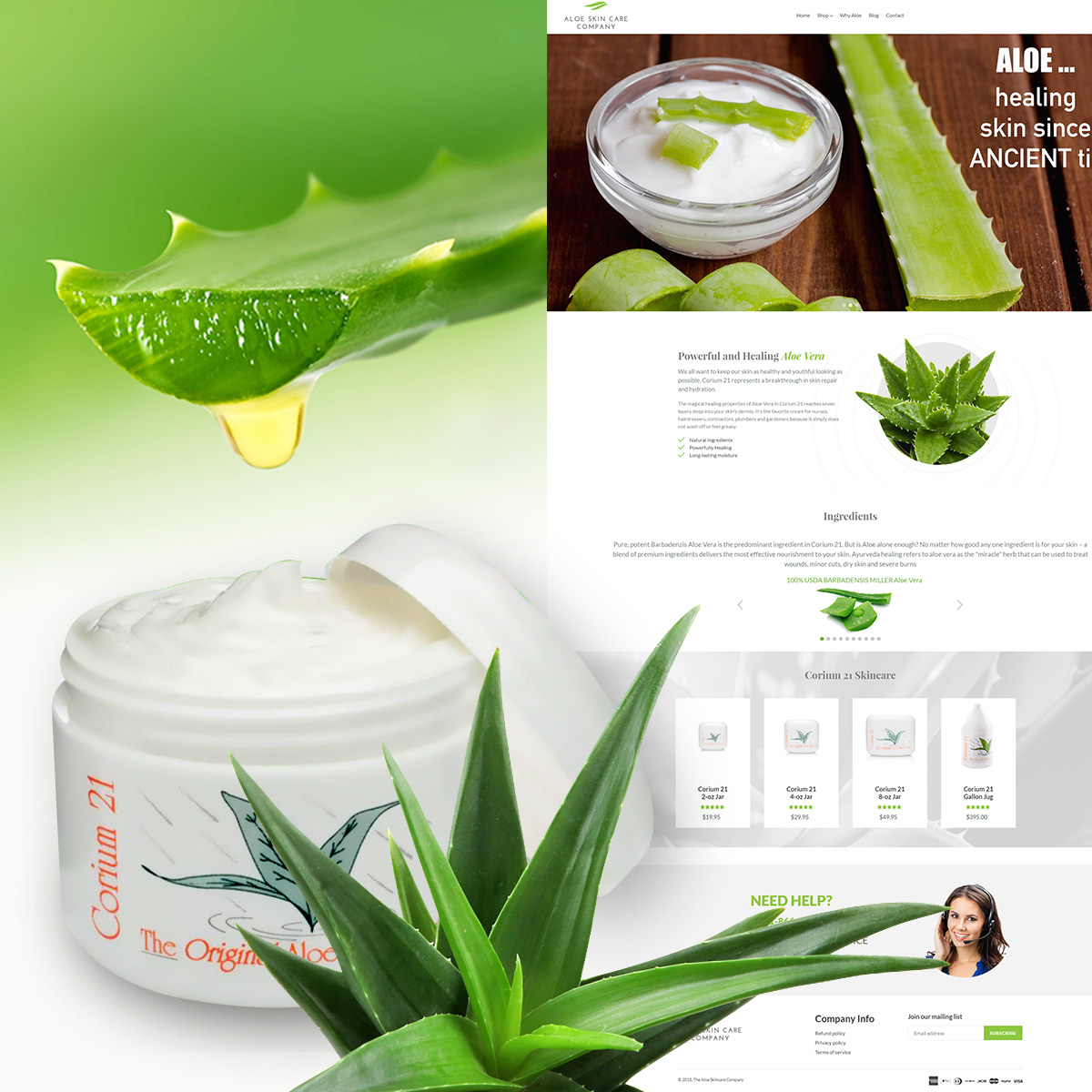 Redesign and Migrate a Store to Shopify screenshot