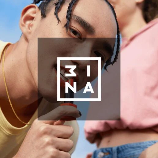 Product Development and UX Design Solutions for 3INA