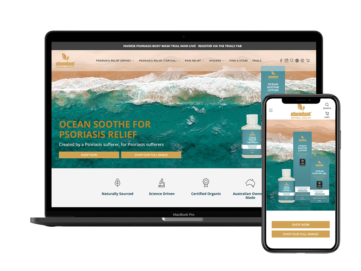 Ecommerce Site Strategy, Design, Development plus Online Marketing screenshot