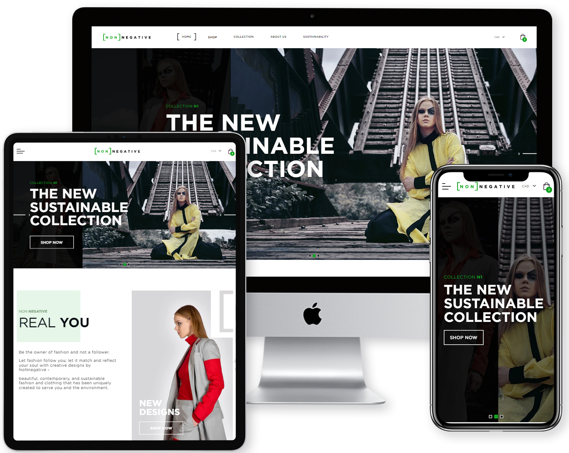 Custom Theme Development for Shopify Store