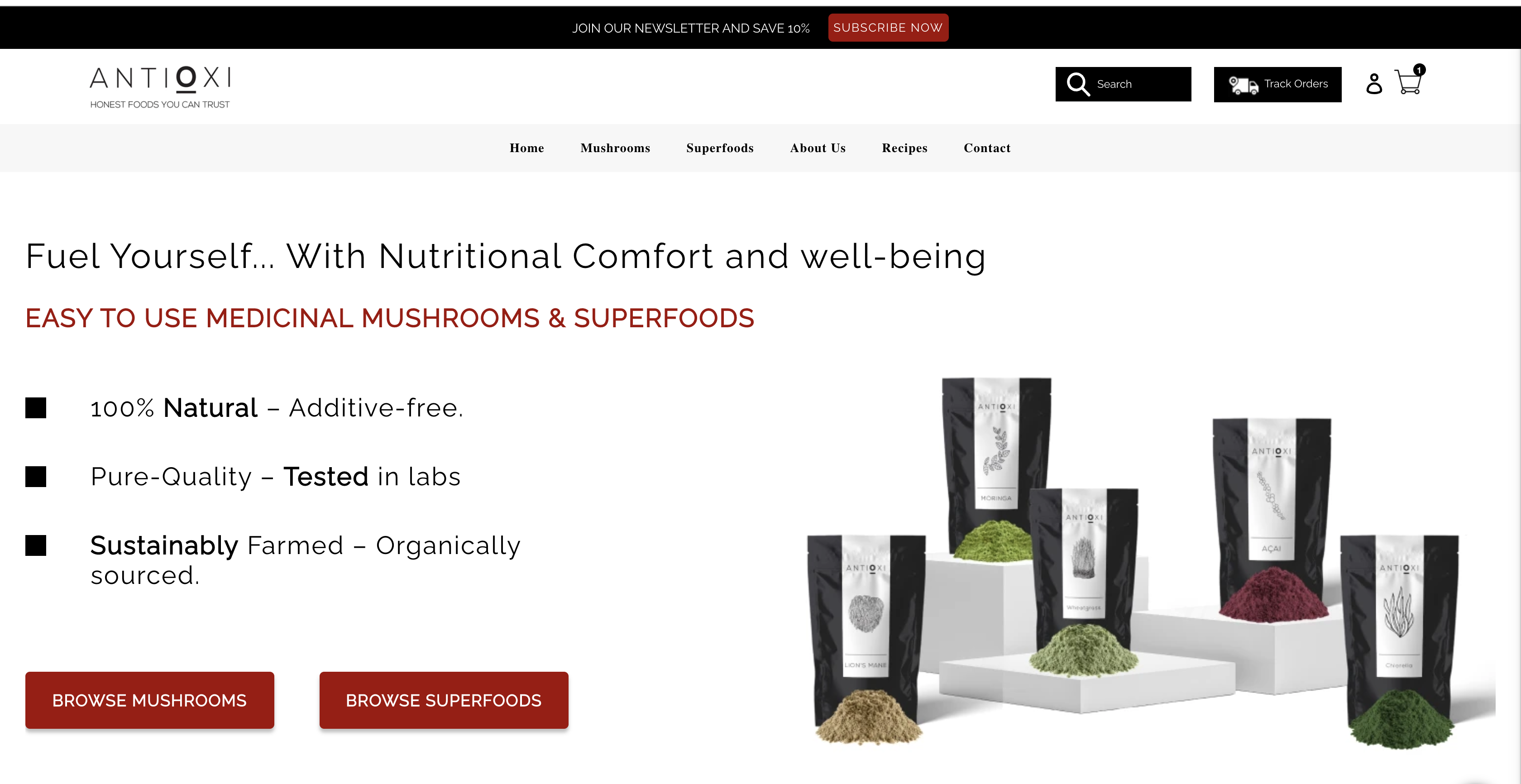 Custom Website Theme Creation and Customer Journey Enhancement