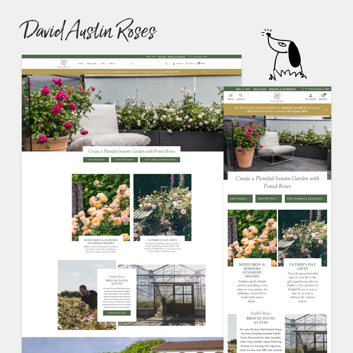David Austin Roses screenshot