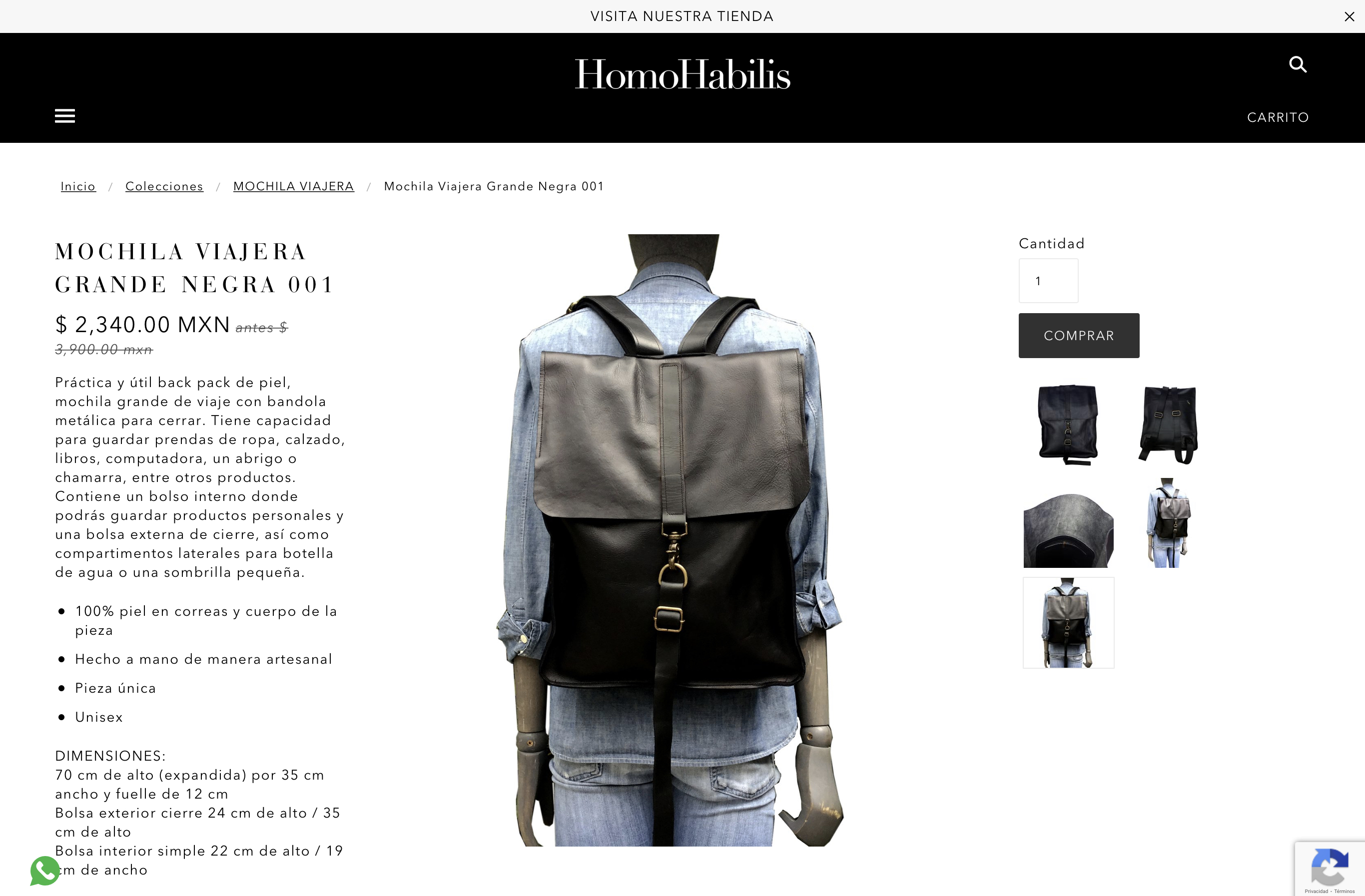 Transition from Physical Store to Online Store for HomoHabilis