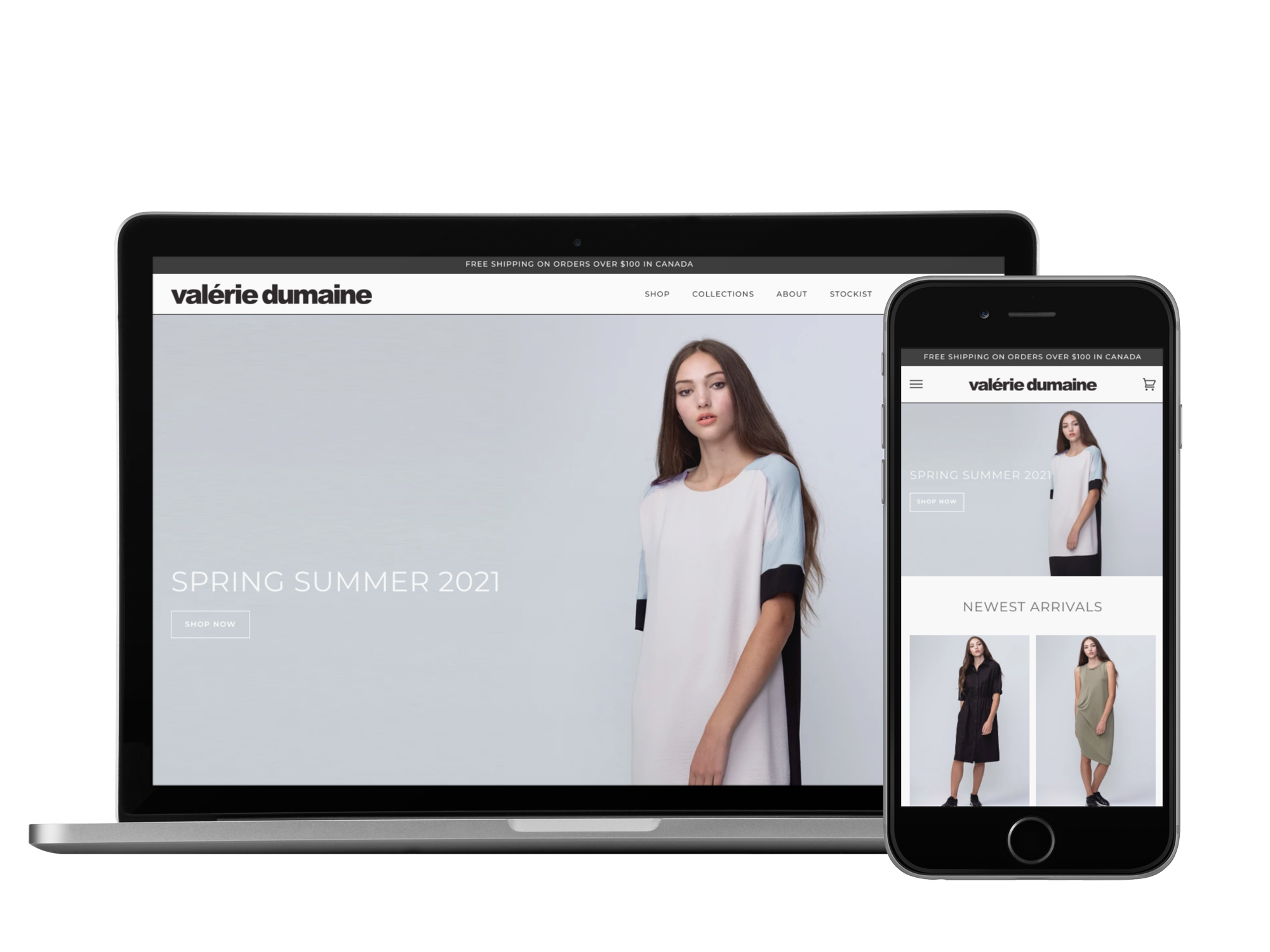 Full Shopify Store Build & Ongoing Maintenance screenshot