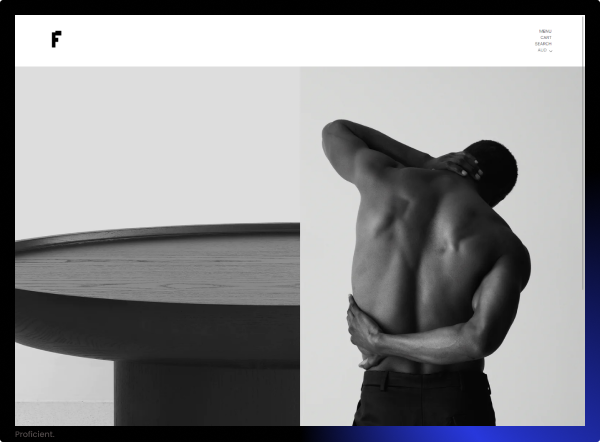 Custom Shopify Theme Design for Freeman Gallery