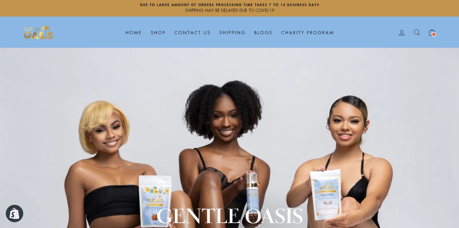 Complete Shopify Store Setup: Customization and Integration Services