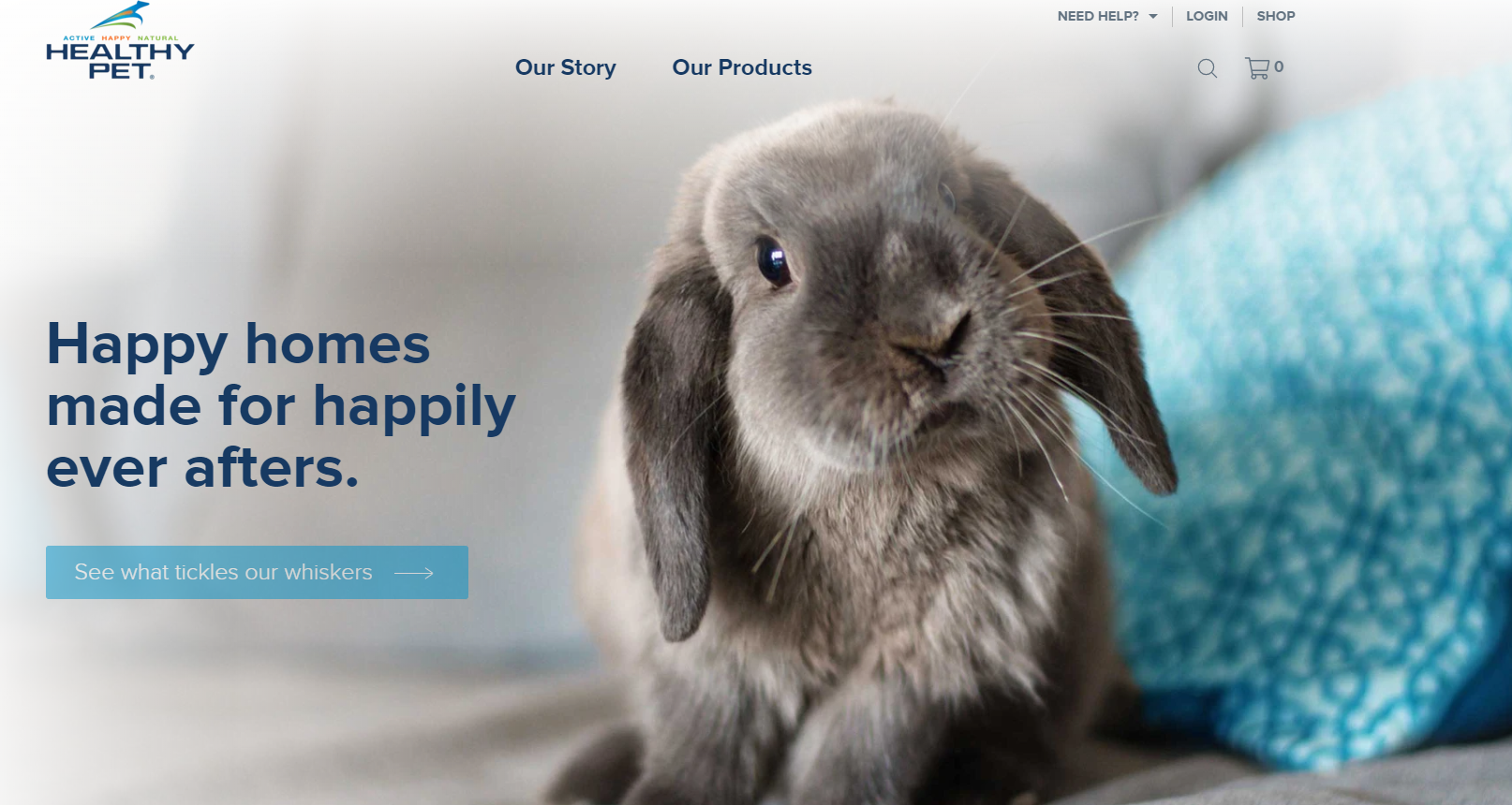 Design & Custom Development Services. screenshot