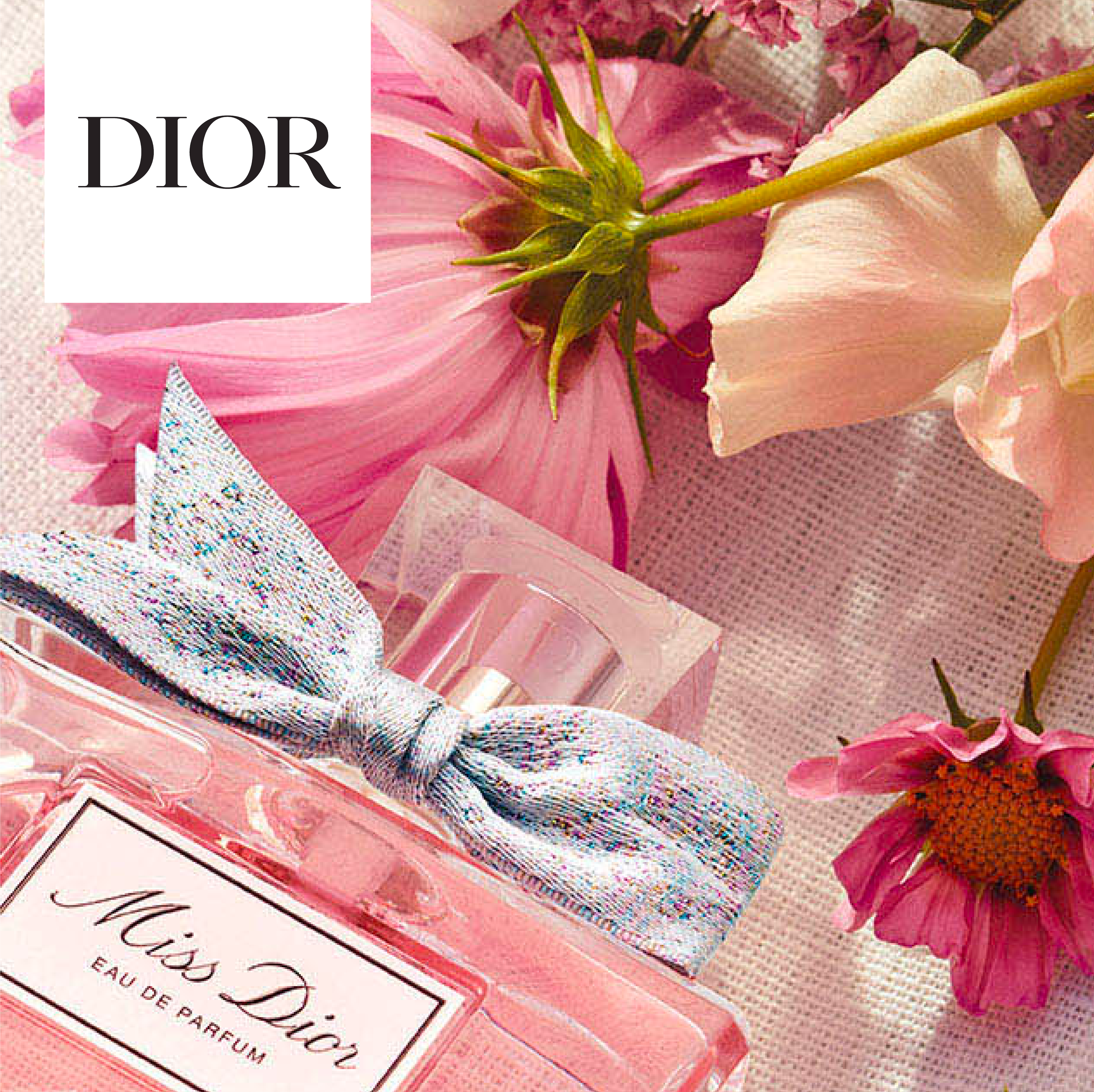 Dior screenshot