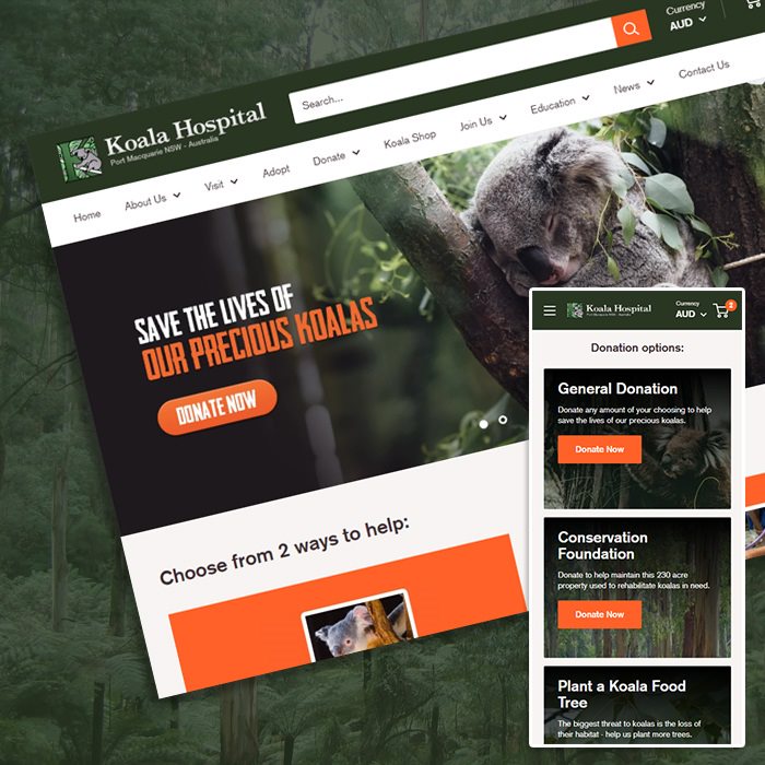 Rapid Website Migration and Redesign for Koala Hospital