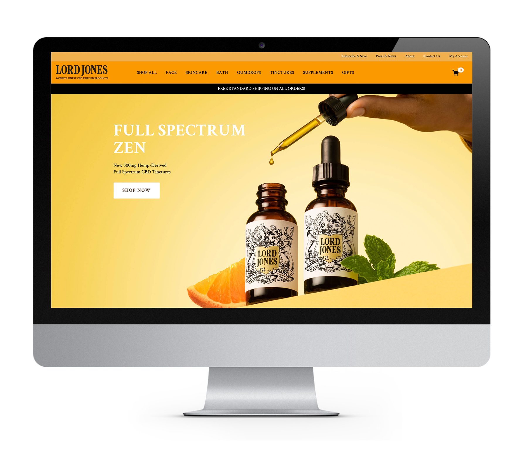 Showcase of Past Projects