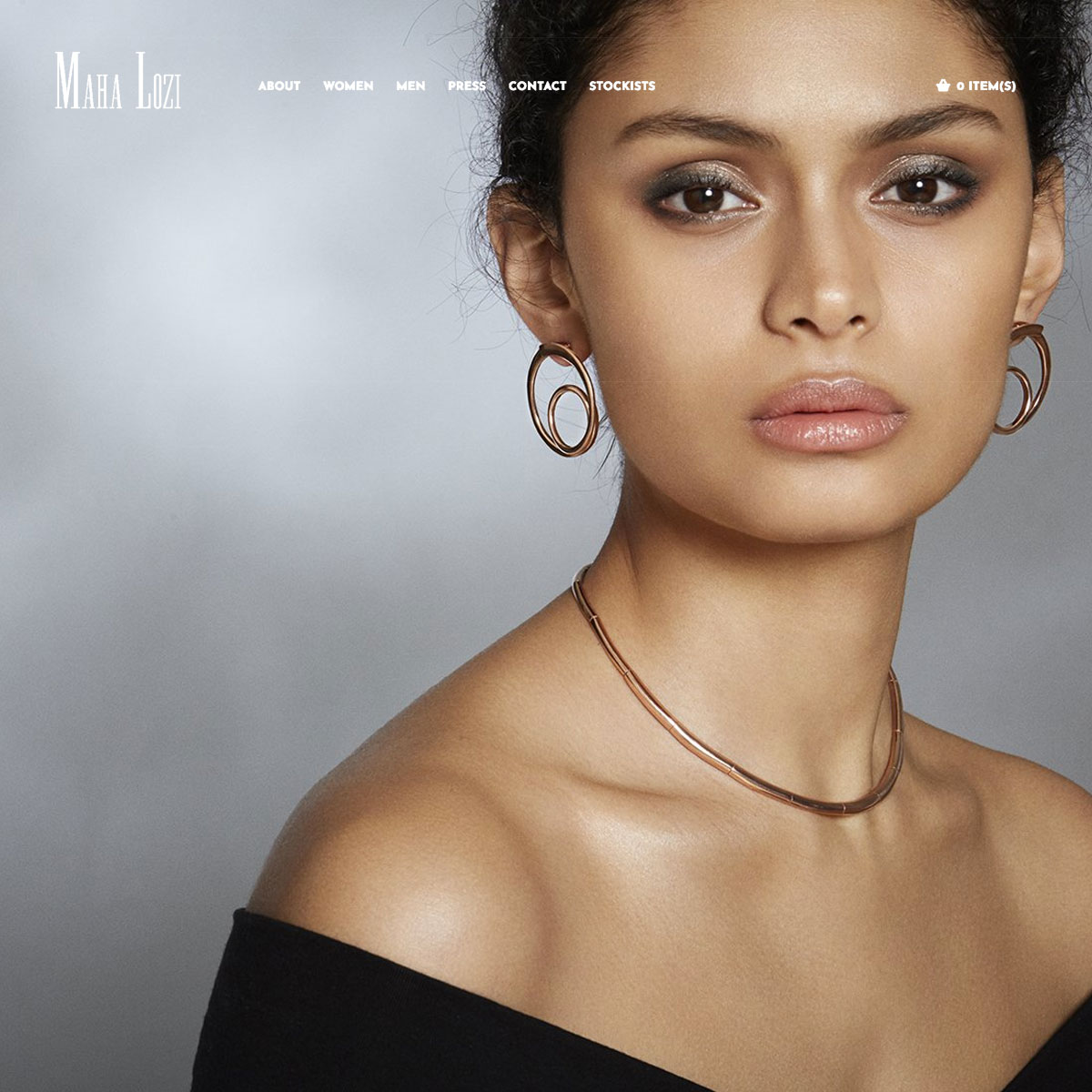 Comprehensive Website Setup and Theme Customization